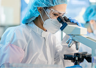 主(zhu)導(dao)産(chan)業 主(zhu)導(dao)産(chan)業