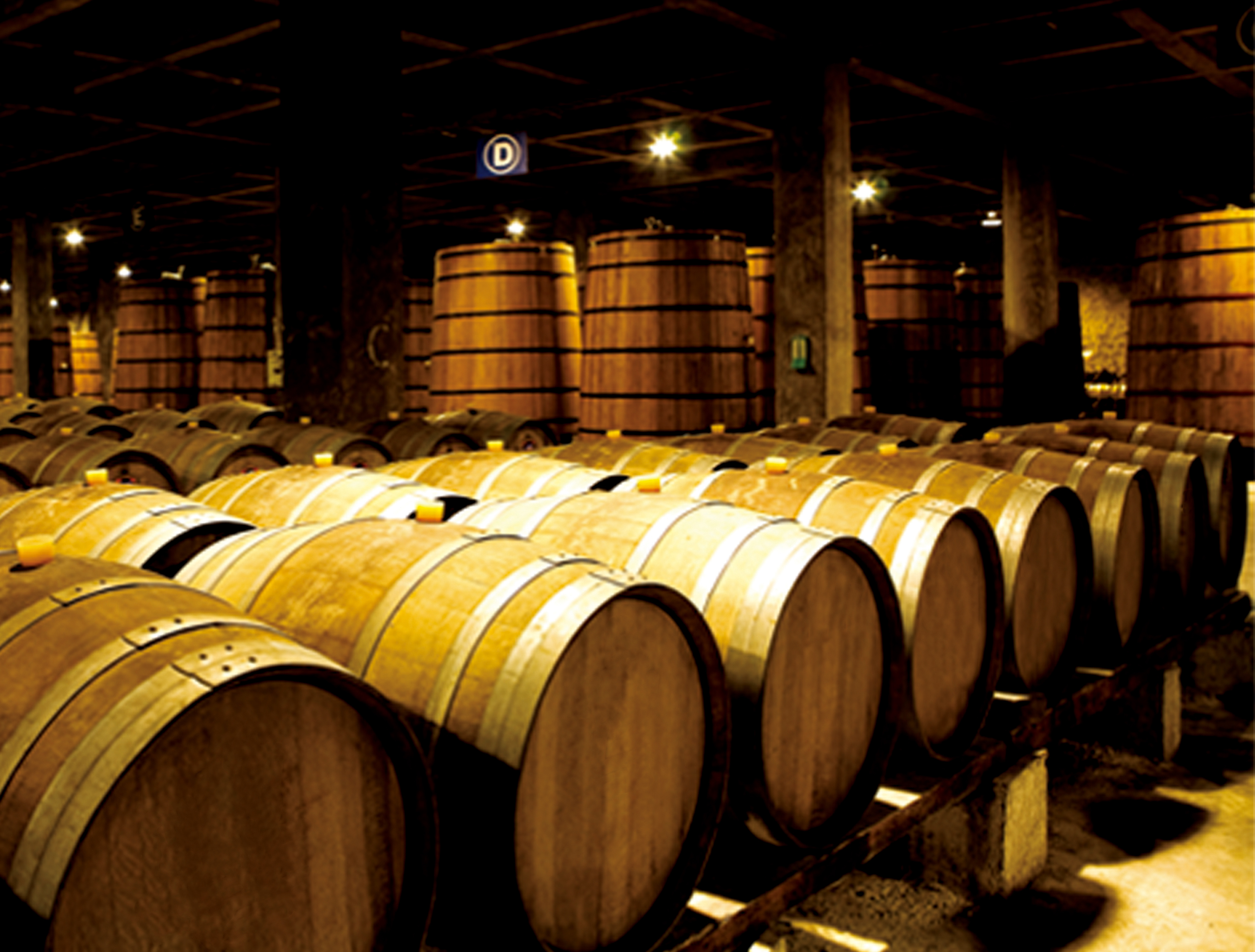 煙檯(tai)南(nan)山(shān)莊園葡萄酒有(yǒu)限(xian)公(gōng)司